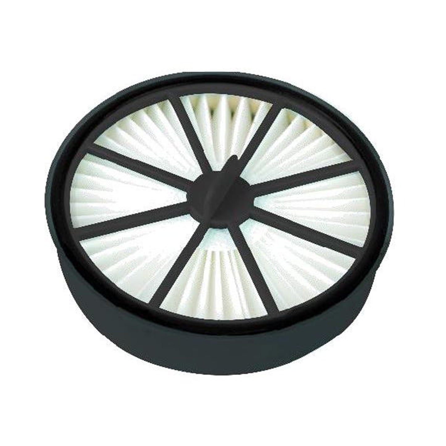 Wertheim Evolution HEPA & Sponge Filter Set