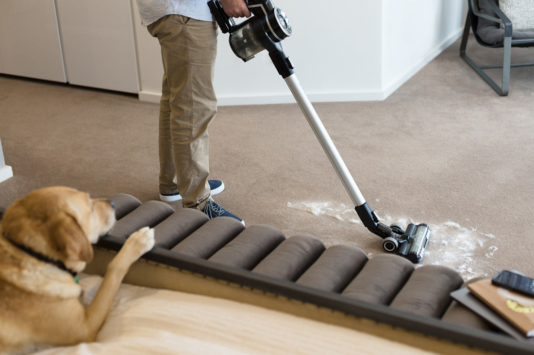 Top cleaning tips for pet owners
