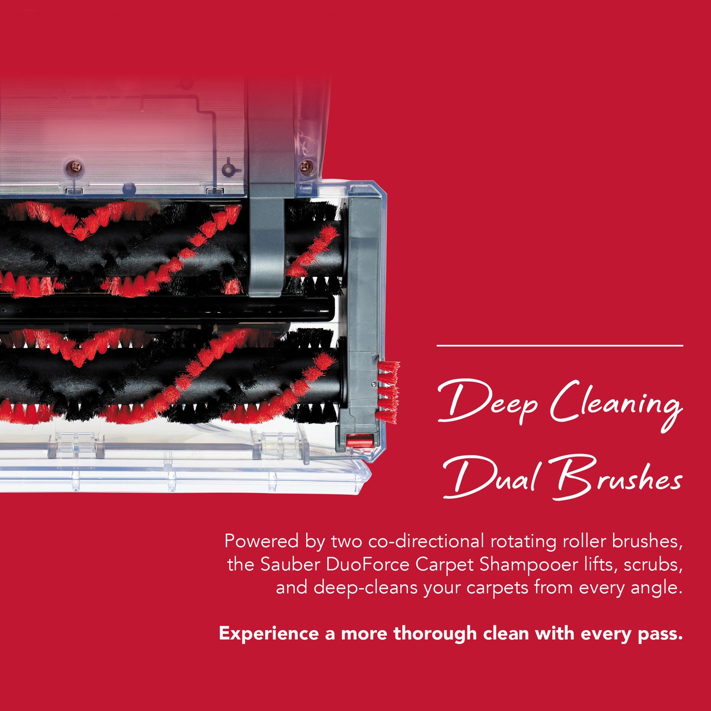 Sauber DuoForce Carpet Shampooer