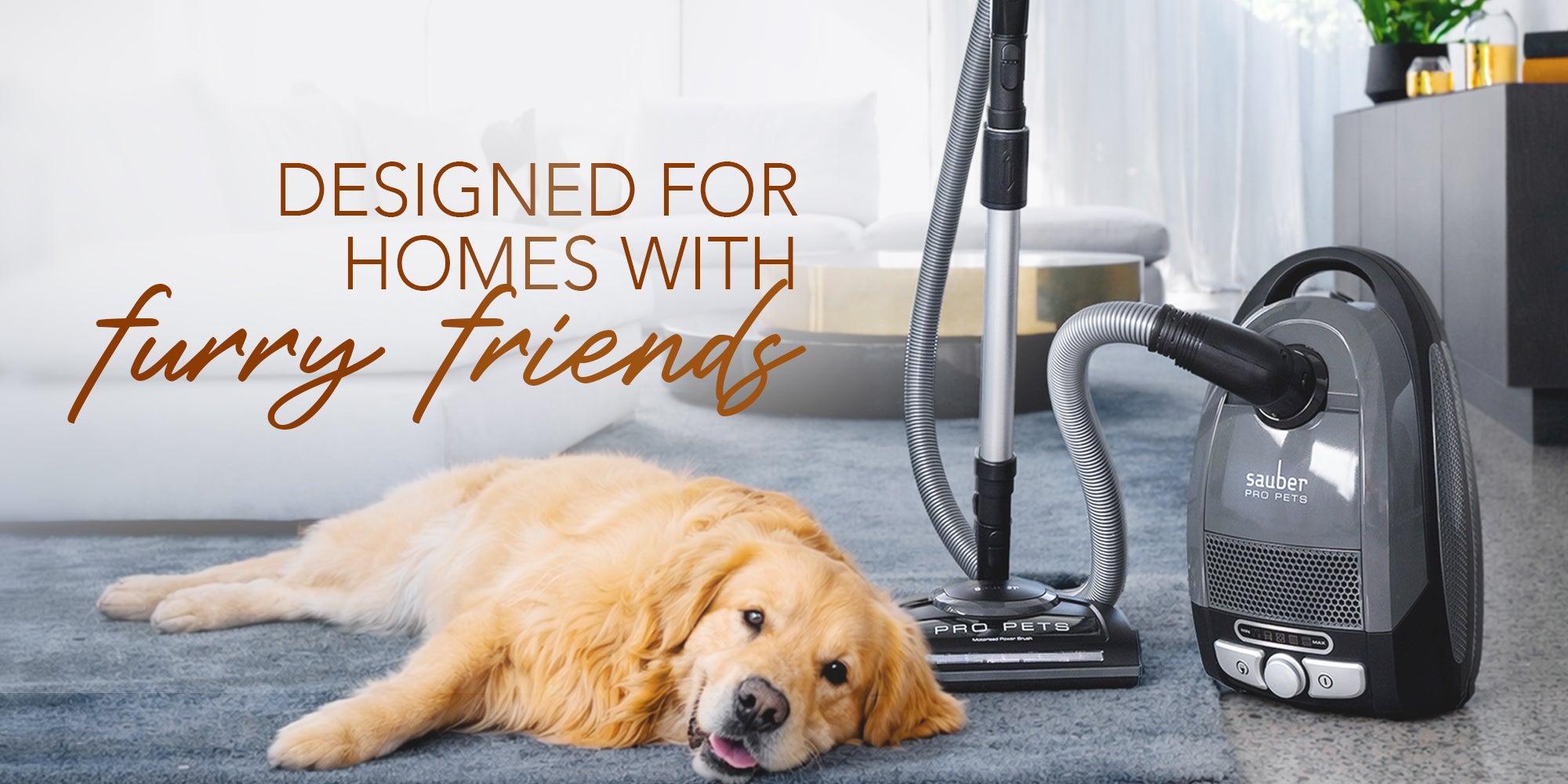 Let's Keep Our Spaces Paw-sitively Clean!